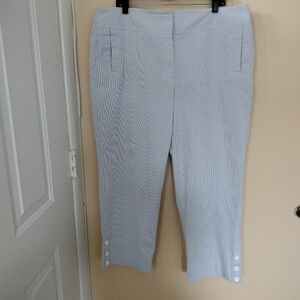 Rafaella Cotton Blend Wide Leg Blue Pants 18W Buttons Stretch Vacation Coastal